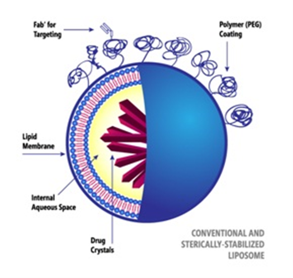 纳米脂质体合成系统